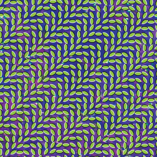 Animal Collective: Meriweather Post Pavillion