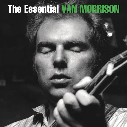 Van Morrison: Into the Music