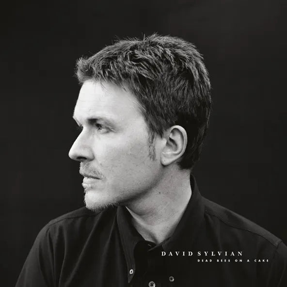 David Sylvian: Dead Bees on a Cake