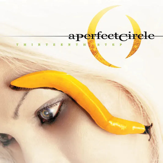 A Perfect Circle- Thirteenth Step