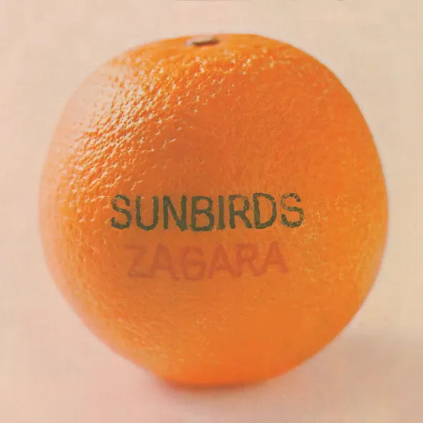 Sunbirds: Sunbirds