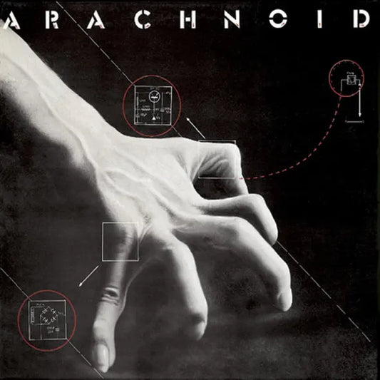 Arachnoid