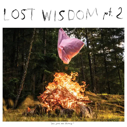 Mount Eerie: Lost Wisdom