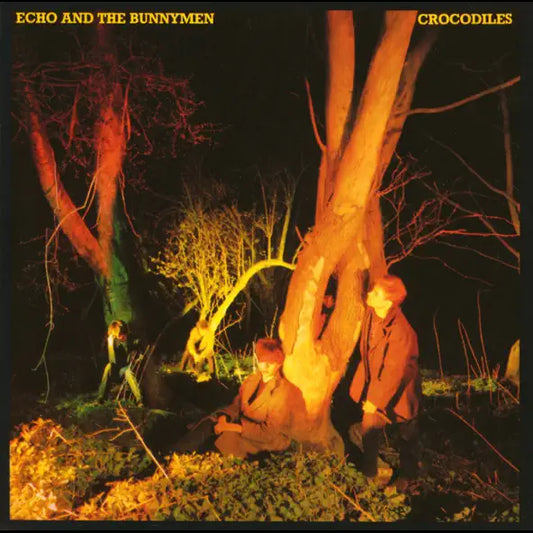 Echo and the Bunnymen: Crocodiles