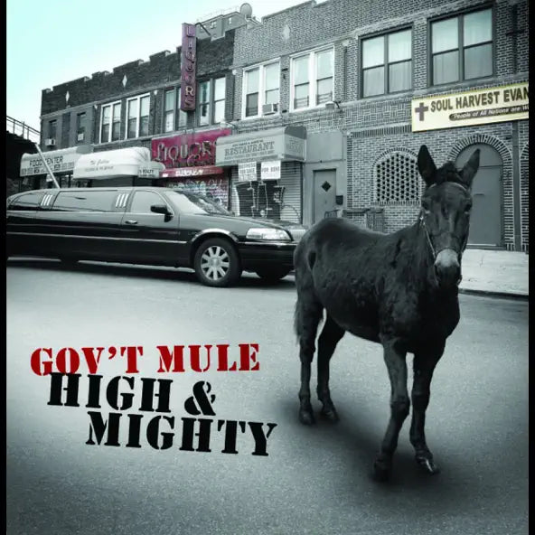 Gov't Mule: Gov't Mule